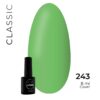Scheda colore Colore 243 del campionario Classic