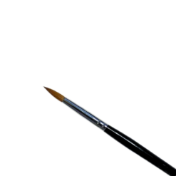 Alternative view of Pennello Kolinsky Premium #8 (extra setole)