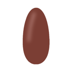 Unghia con semipermanente Colore 333